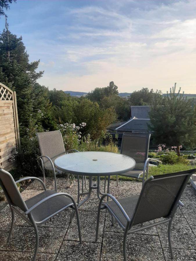 Haus Mit Ausblick 3 Schlafzimmer Wilkau-Hasslau Εξωτερικό φωτογραφία